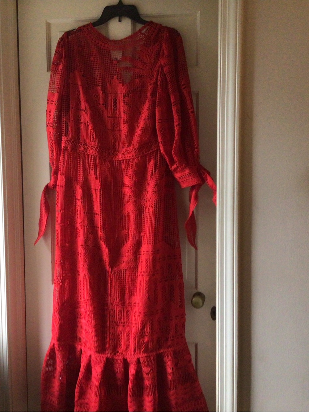 FARM Rio Red Crochet Maxi Dress - Picture 8 of 8